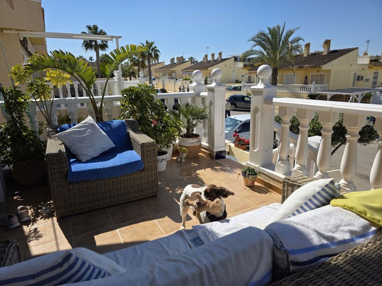 Town House for Sale in Benimar, Benijófar, Alicante 19