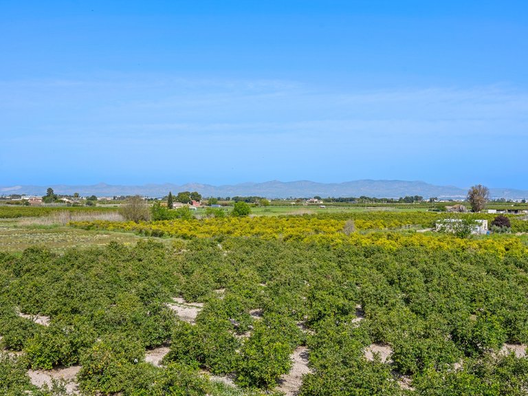 Apartment for Sale in Daya Nueva, Alicante 26