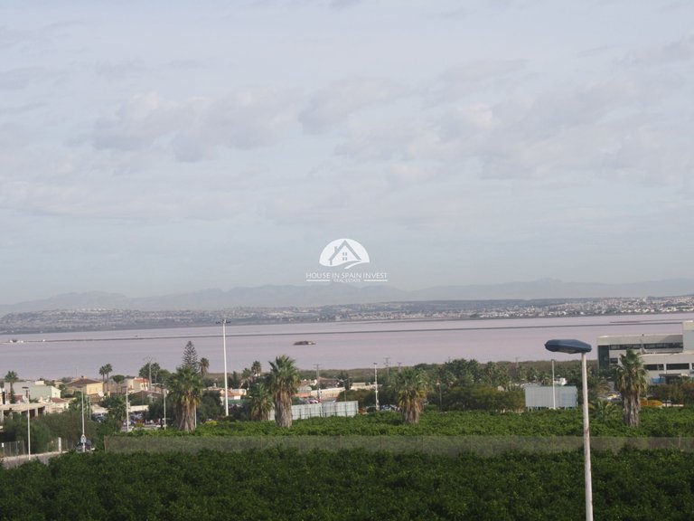 Town House for Sale in Torrevieja Torrevieja, Alicante 7