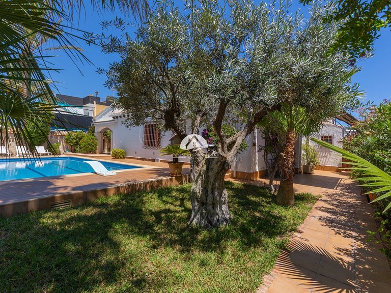 Villa for Sale in Punta Prima Orihuela Costa, Alicante 15