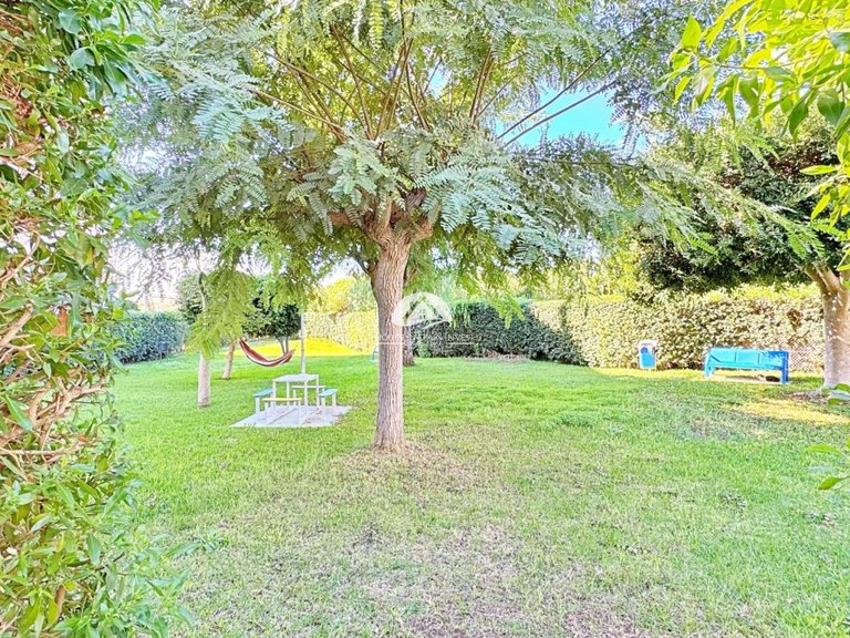 Apartment for Sale in La Mata Torrevieja, Alicante 40