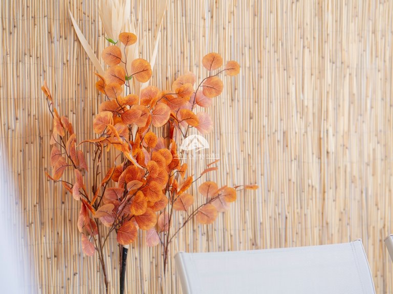 Apartment for Sale in Punta Prima Torrevieja, Alicante 26