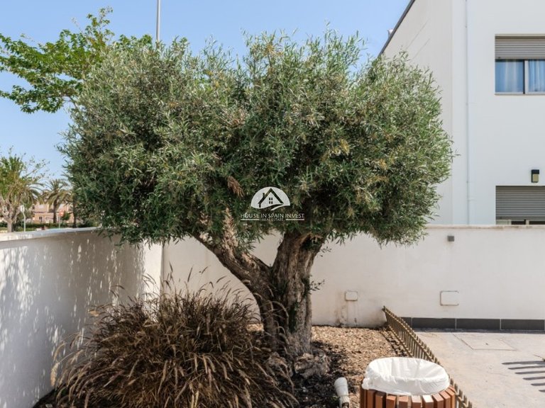 Apartment for Sale in Torre de la Horadada Pilar De La Horadada, Alicante 30