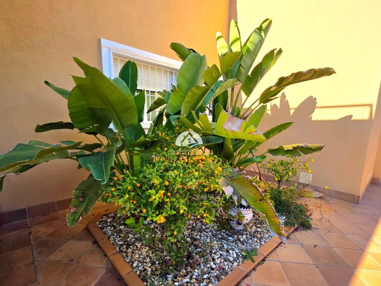 Villa for Sale in Cabo Cervera Torrevieja, Alicante 32