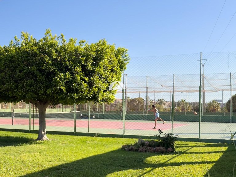 Apartment for Sale in El Acequión - Los Náufragos Torrevieja, Alicante 28