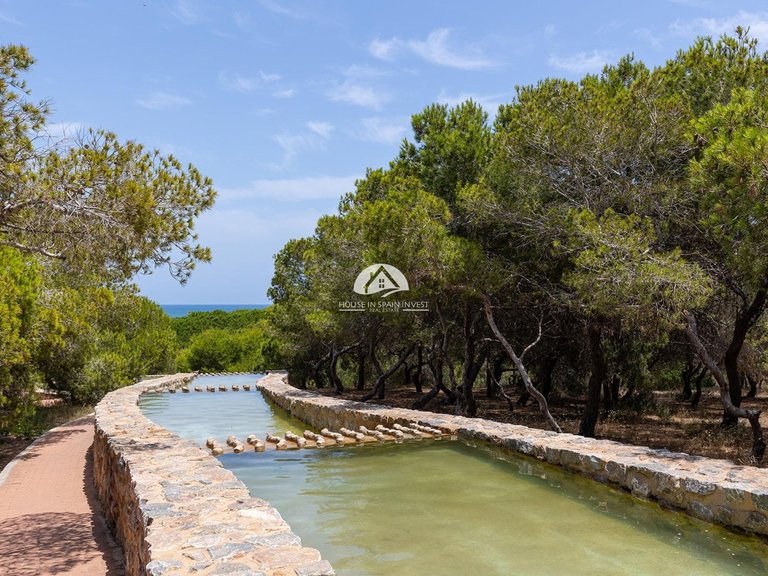 Apartment for Sale in La Mata Torrevieja, Alicante 30