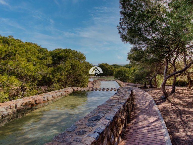 Apartment for Sale in Centro Torrevieja, Alicante 32