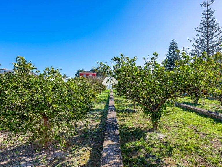 Country House for Sale in Los Montesinos Los Montesinos, Alicante 25