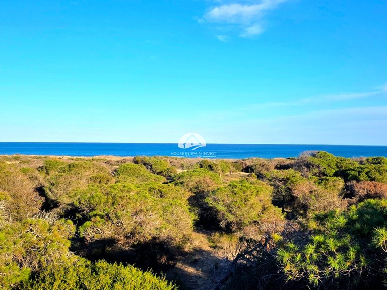 Apartment for Sale in Pinomar Guardamar Del Segura, Alicante 15