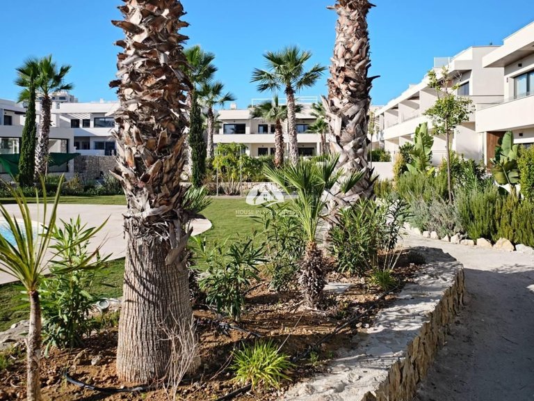 Apartment for Sale in La Veleta Torrevieja, Alicante 8