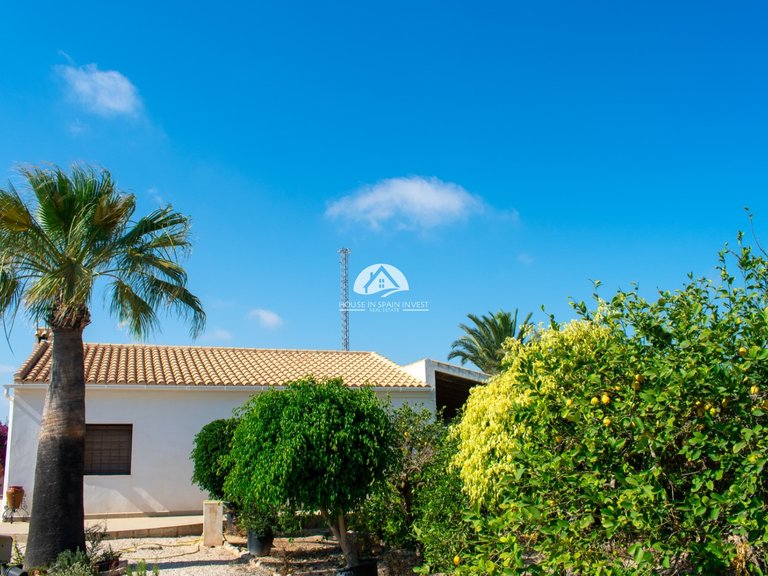 Villa for Sale in Guardamar - El Raso Guardamar Del Segura, Alicante 44