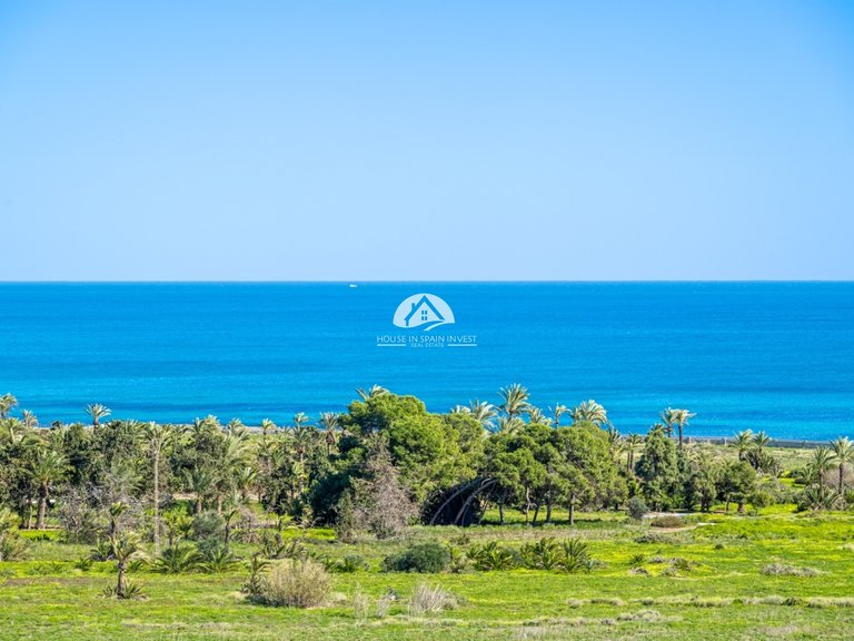 Apartment for Sale in Punta Prima Orihuela Costa, Alicante 20