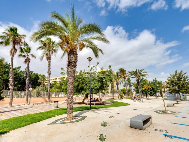 Apartment for Sale in Playa del Cura Torrevieja, Alicante 24