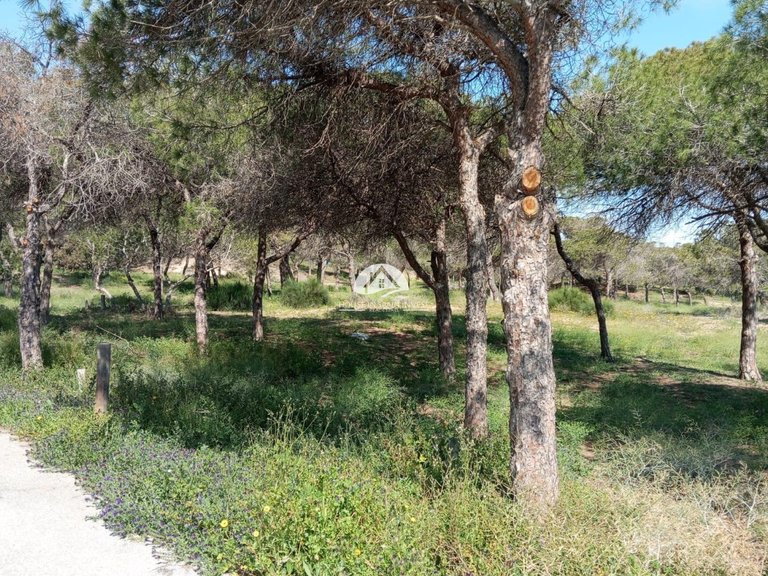 Apartment for Sale in Urbanizaciones Guardamar Del Segura, Alicante 32