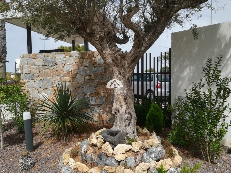 Apartment for Sale in Torrevieja Torrevieja, Alicante 22