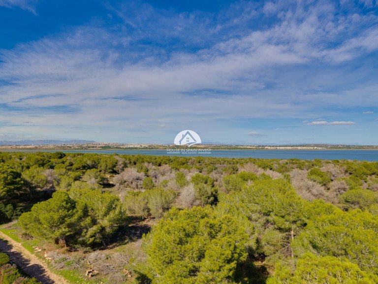 Apartment for Sale in La Siesta - El Chaparral - San Luis Torrevieja, Alicante 34