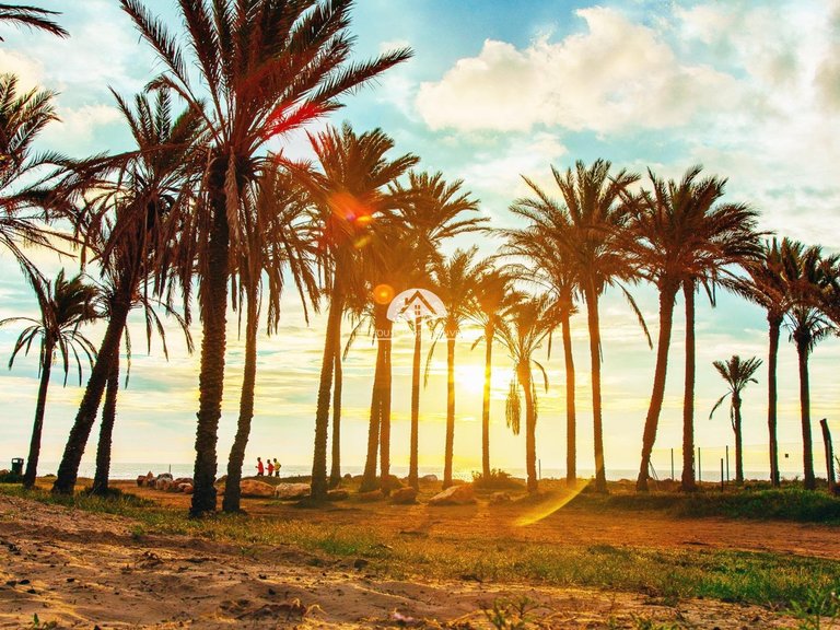 Town House for Sale in Los Balcones Torrevieja, Alicante 47