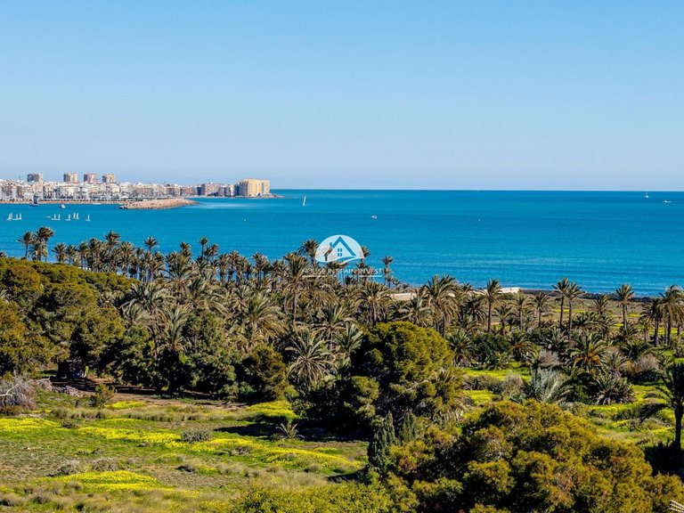 Villa for Sale in Los Balcones Torrevieja, Alicante 43