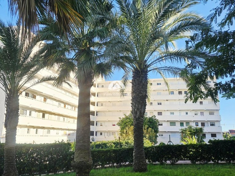 Apartment for Sale in La Mata Torrevieja, Alicante 29