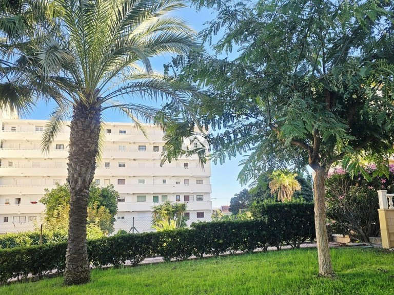 Apartment for Sale in La Mata Torrevieja, Alicante 33