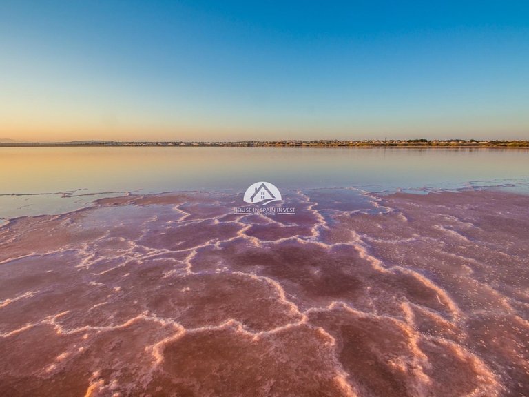 Apartment for Sale in La Mata Torrevieja, Alicante 17