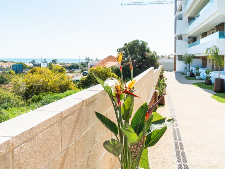 Apartment for Sale in Playa Flamenca Orihuela Costa, Alicante 32