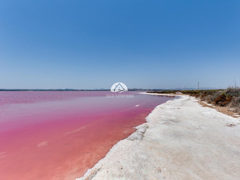 Apartment for Sale in El Acequión - Los Náufragos Torrevieja, Alicante 23