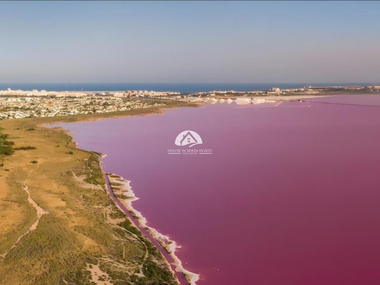 Villa for Sale in Torrevieja Torrevieja, Alicante 22