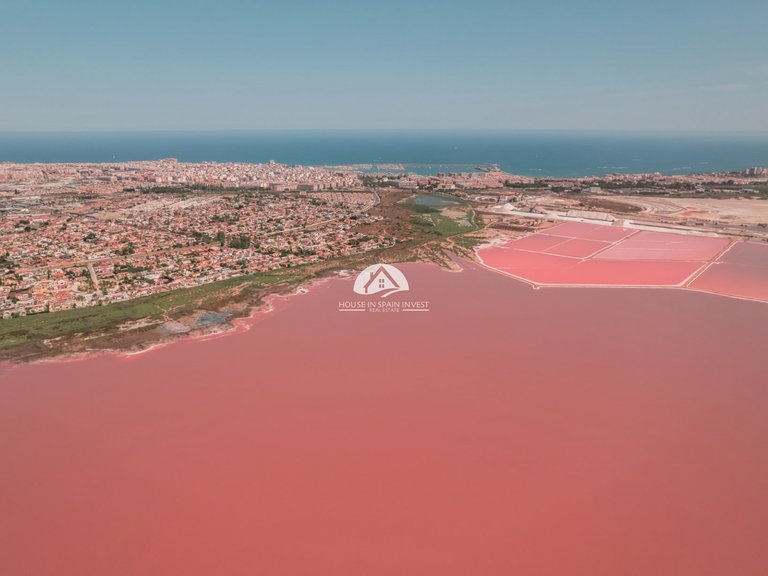 Apartment for Sale in Torrevieja Torrevieja, Alicante 15