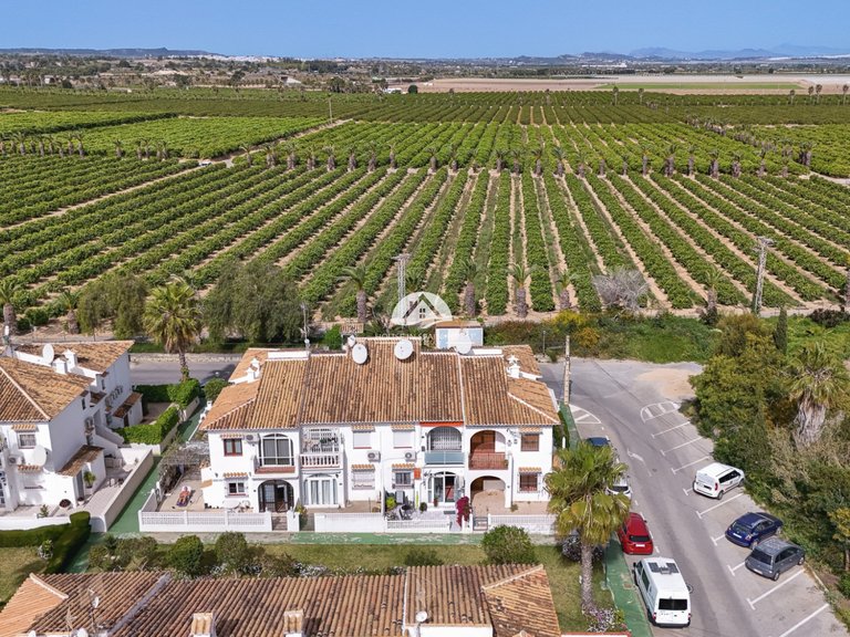 Apartment for Sale in Los Balcones Torrevieja, Alicante 17