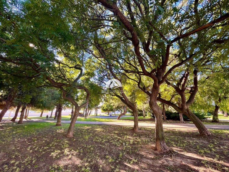 Town House for Sale in Nueva Torrevieja Torrevieja, Alicante 42