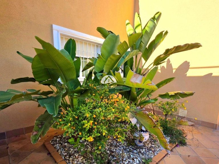 Villa for Sale in Dehesa de Campoamor Orihuela Costa, Alicante 23