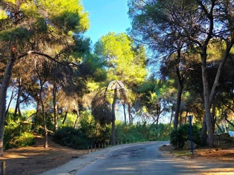 Villa for Sale in Dehesa de Campoamor Orihuela Costa, Alicante 33