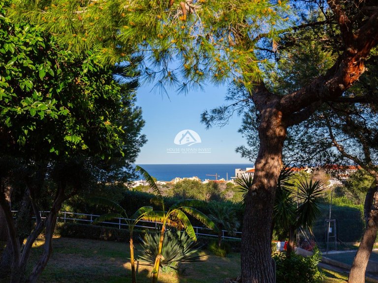Apartment for Sale in La Mata Torrevieja, Alicante 24