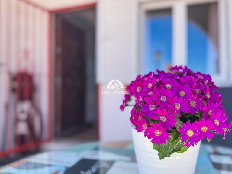Town House for Sale in Cabo Cervera Torrevieja, Alicante 4