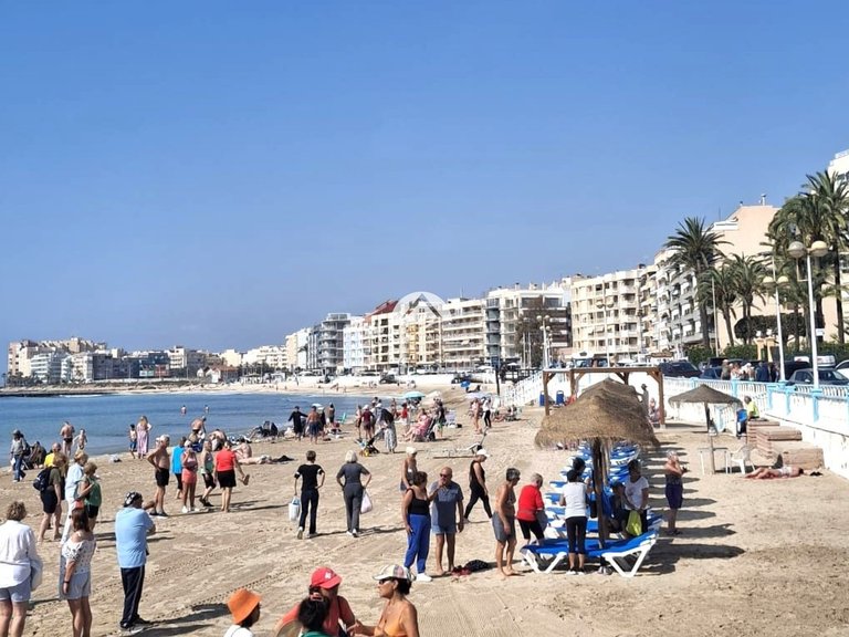 Apartment for Sale in Playa de los Locos Torrevieja, Alicante 21
