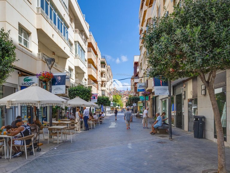 Penthouse for Sale in El Acequion - Los Náufragos Torrevieja, Alicante 49