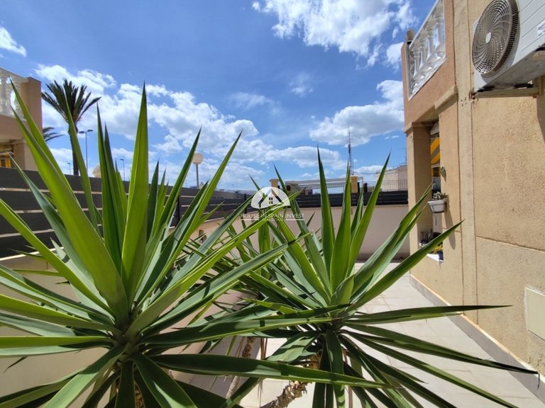 Apartment for Sale in Torrevieja Torrevieja, Alicante 20
