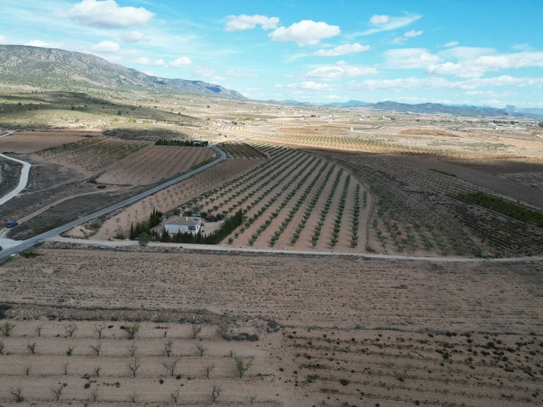 Plot for Sale in Lel, Alicante 2