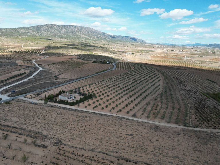 Plot for Sale in Lel, Alicante 3
