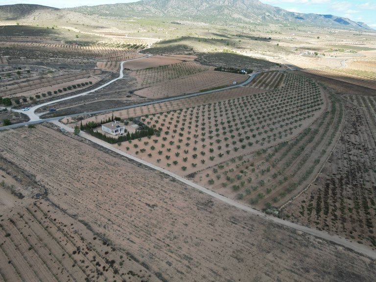 Plot for Sale in Lel, Alicante 4