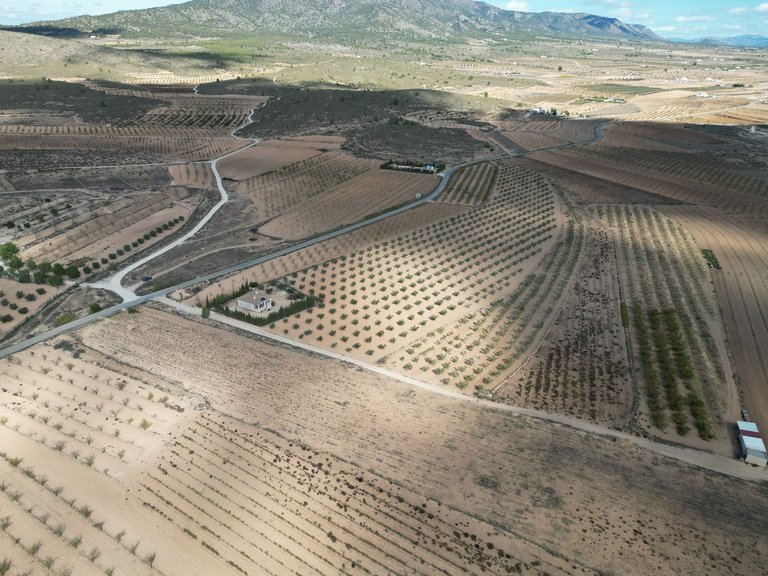 Plot for Sale in Lel, Alicante 5