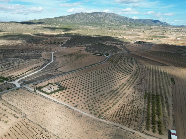 Plot for Sale in Lel, Alicante 6