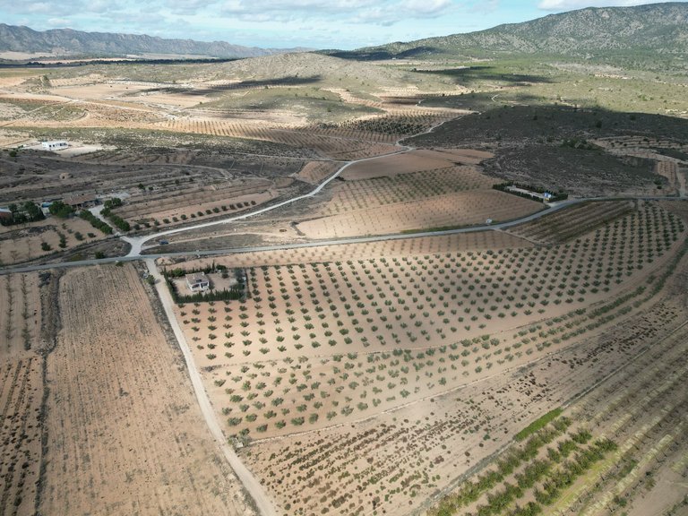 Plot for Sale in Lel, Alicante 7