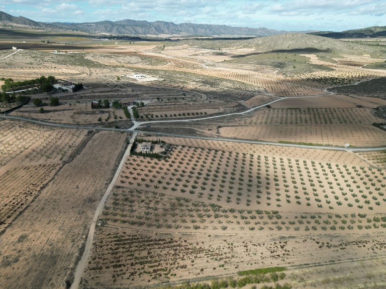 Plot for Sale in Lel, Alicante 8