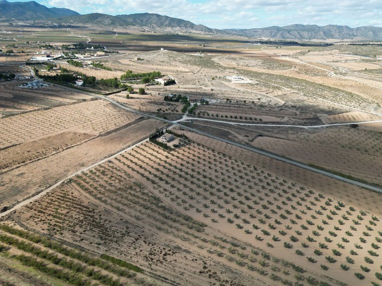 Plot for Sale in Lel, Alicante 9