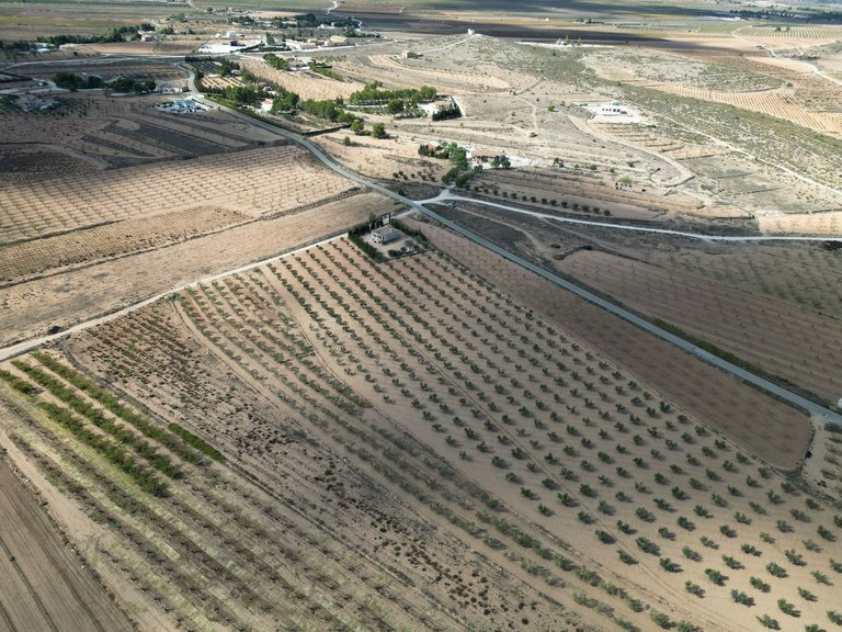 Plot for Sale in Lel, Alicante 10