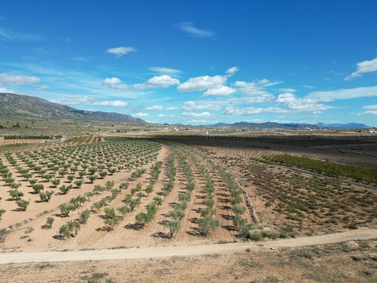 Plot for Sale in Lel, Alicante 11