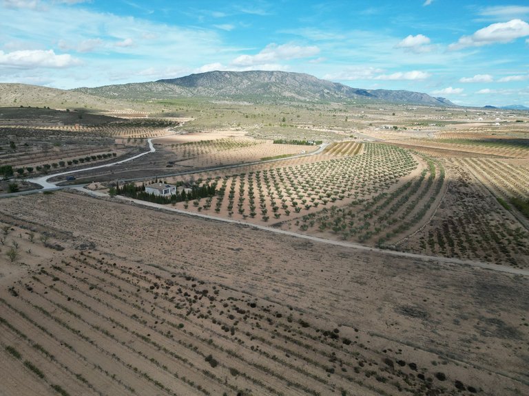 Plot for Sale in Lel, Alicante 14