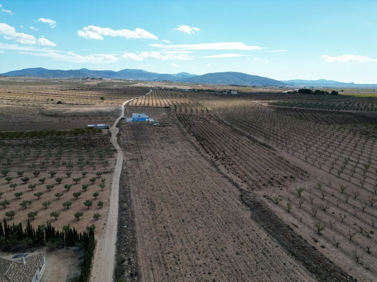 Plot for Sale in Lel, Alicante 15